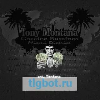 Логотип only_montana