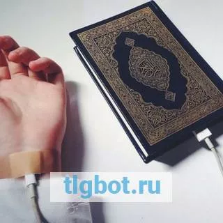 Логотип quran_va_islam