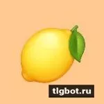 Логотип toolemon