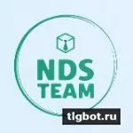 Логотип nds_team