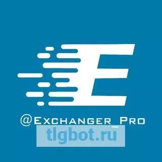 Логотип exchanger_pro