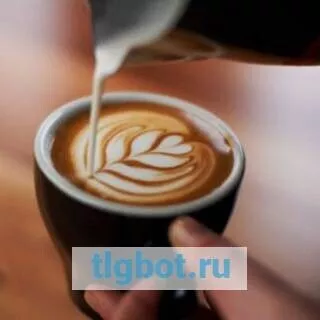 Логотип barista