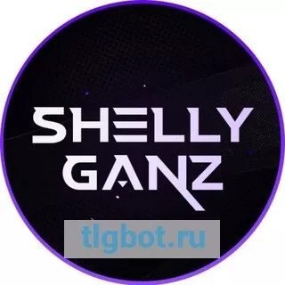 Логотип shellyganz