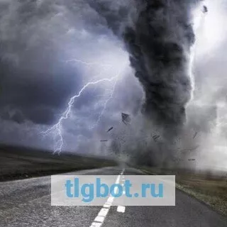 Логотип catast