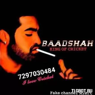 Логотип badshah_bhai_tipper