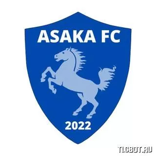 Логотип asaka_fc