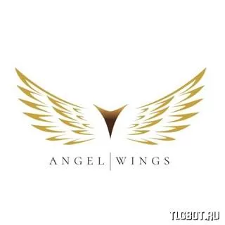 Логотип angelwingsinvest