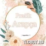 Логотип pratik_arapca