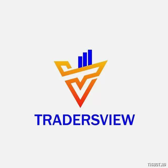Логотип traders_view1