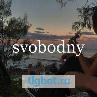 Логотип svobodny1