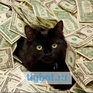 Логотип cashkat