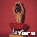 Логотип ssfit_tg