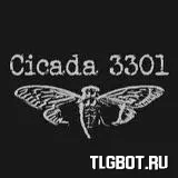 Логотип cicada_quest