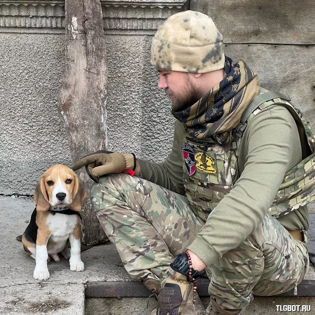 Військові це. Военная собака. Немецкая овчарка и Soldaten. Army Dog.