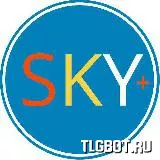 Логотип skytradess