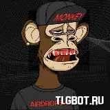 Логотип monkey_airdropse