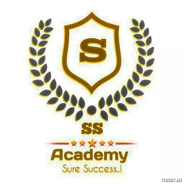 Логотип s_s_academy