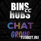 Логотип binscchubschat