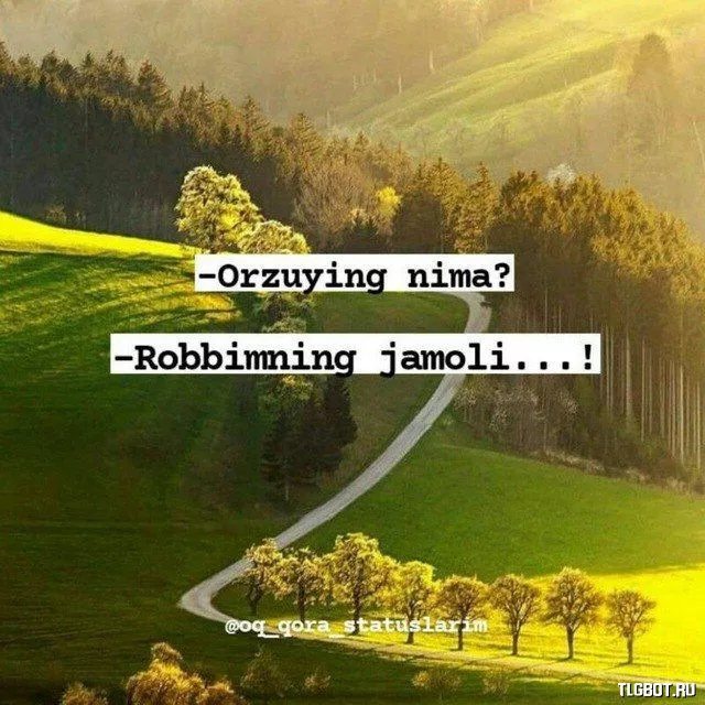 Логотип ismlarga_rasmlar_arabchada