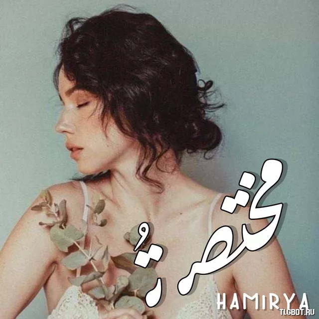 Логотип hamirya