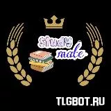 Логотип study_mate_official