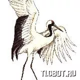 Логотип vektor1354