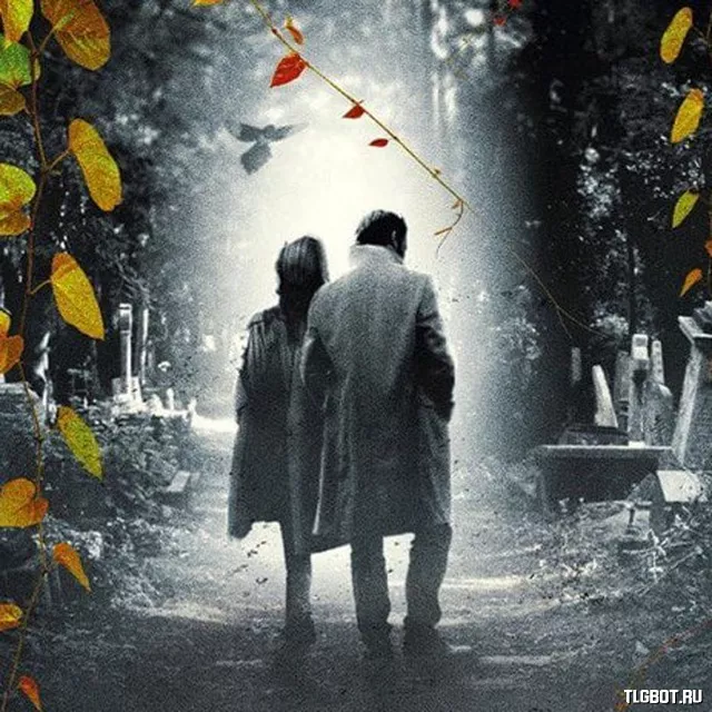 The ink black heart robert galbraith. Дата выхода книги. Книжные новинки 2023. The running grave. Генри джеймс книги.