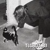 Логотип d_mix
