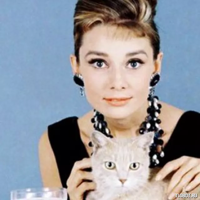 Логотип AudreyHepburn