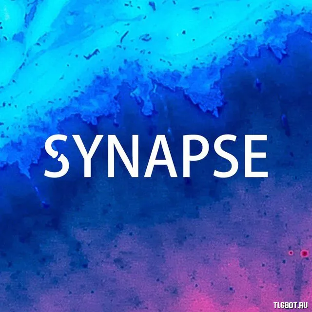 Логотип synapse_channel