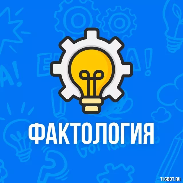 Логотип Faktology_NEXT