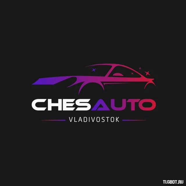 Логотип chesauto_vladivostok