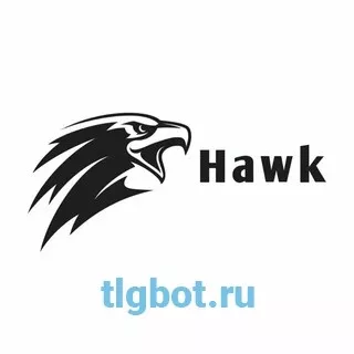 Логотип hawk696