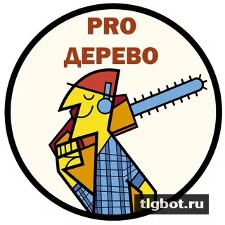 Логотип derevo_pro