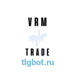 Логотип vrmtr