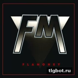 Логотип flamoney