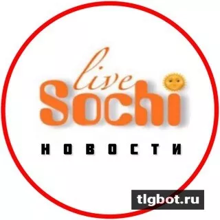 Логотип typicalsochi