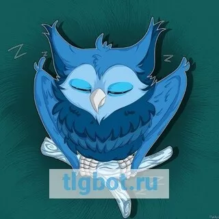 Логотип owlsleepy