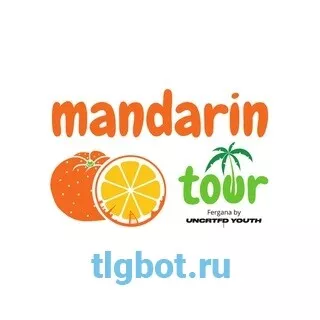 Логотип mandarintour_fergana