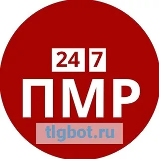 Логотип pmr24