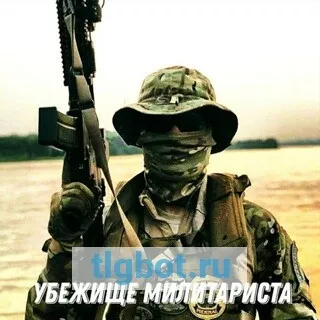 Логотип militarist2